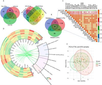 An Unbiased Machine Learning Exploration Reveals Gene Sets Predictive of Allograft Tolerance After Kidney Transplantation